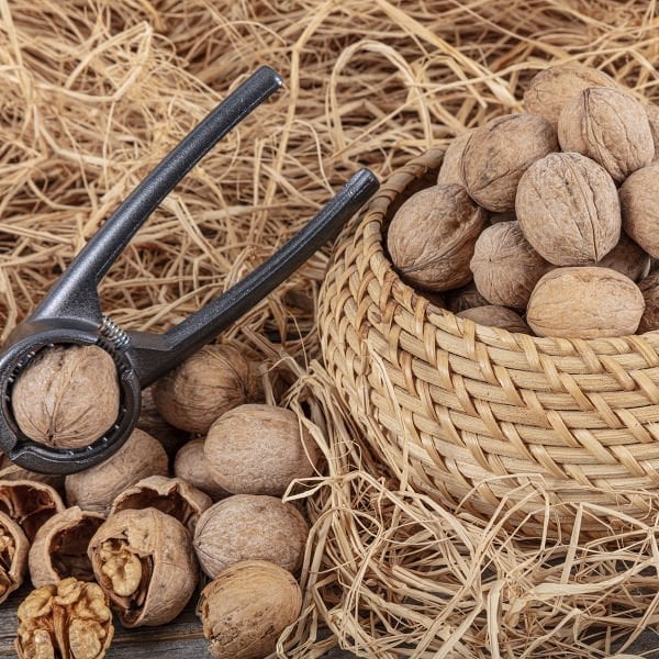 Maraş Kabuklu Ceviz 2500 Gr