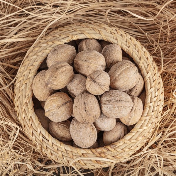 Maraş Kabuklu Ceviz 2500 Gr