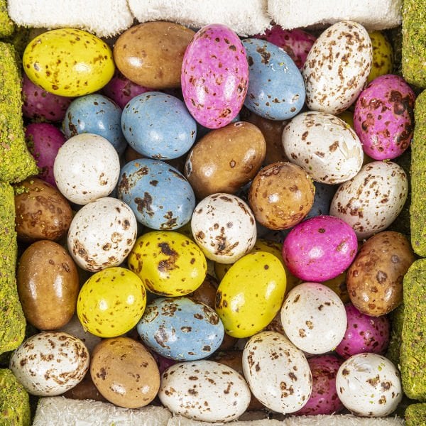 Pendirhan Lezzet Kutusu